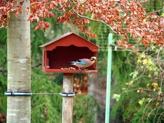 mailbox on the fence