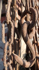 chain © Alicja