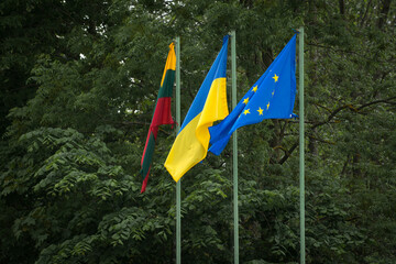 Flags of European Union, Ukraine and Lithuania, green background 