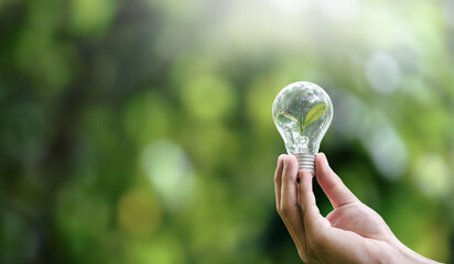 Hand holding light bulbs and growing plants Environment Sustainability Save the world clean Ecology...