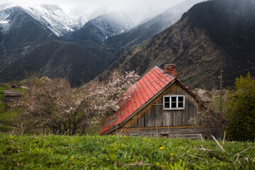 Old log cabin in the mountains . Abandoned wooden house in high mountains