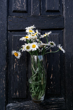 glass vase with a bouquet of daisies on the background of an old wooden door