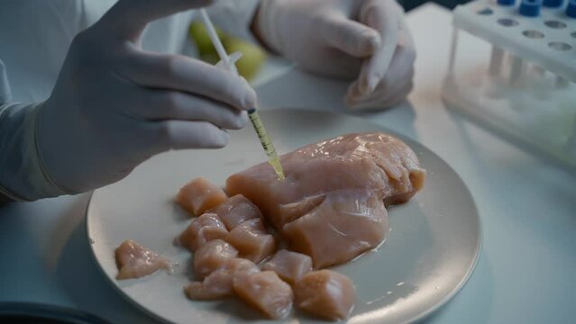Genetically modified meat. GMO food concept. Genetic injection. Food scientist injecting raw meat. Lab assistant testing GMO chicken. Food quality control. Growing cultured meat.