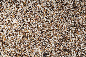 Coarse Salt and Crushed Black Pepper Background, Macro Shot, Close Up Top View Texture