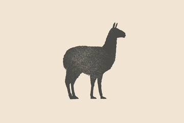 Llama silhouette is drawn with a stamp effect. Alpaca animal of South America. Vintage emblem. Design element for shop, market, packaging, labels, and logo. Vector illustration.