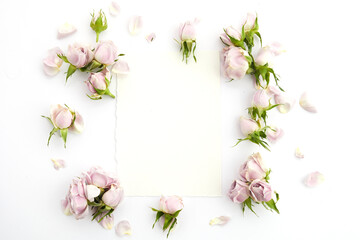 Framework from roses and petals on white background. Flat lay.