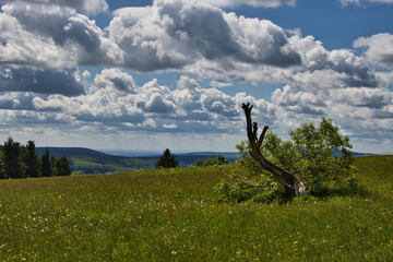 Rhön