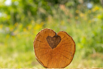 Cut stump with a heart 