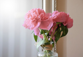 Fototapeta na wymiar Peony flower in a vase in the room