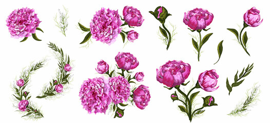 decorative elements, pink flower, peony branch. hand-drawn doodles in a realistic style. modern decor details for decoration, Wallpaper, isolated on a white background. © dezignstock