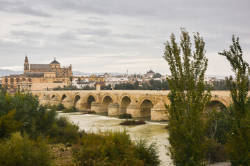 Fototapeta premium The Roman bridge in Cordoba over the Guadalquivir river.