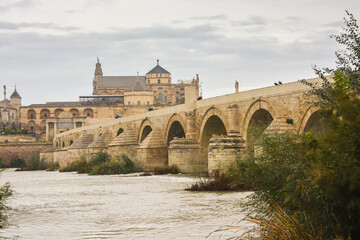 Fototapeta na wymiar The Roman bridge in Cordoba over the Guadalquivir river.