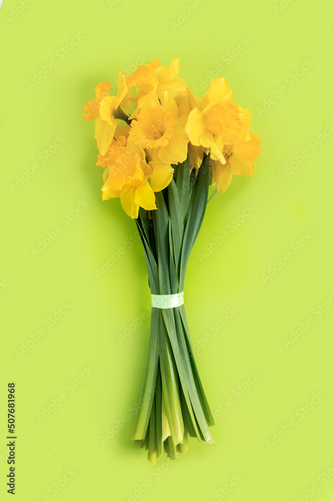 Sticker Set of beautiful yellow daffodils lie on green background. Flat lay Top view with copy space for  your text. Banner for congratulations.