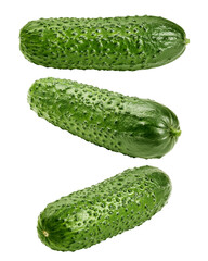 cucumber isolated on white background, clipping path, full depth of field
