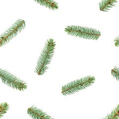Fir, tree spruce branch, isolated on white background, SEAMLESS, PATTERN