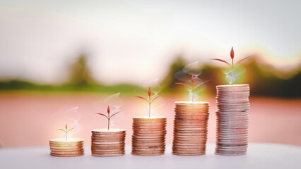 Trees grow with coins on the ground, money grows, financial and investment ideas.