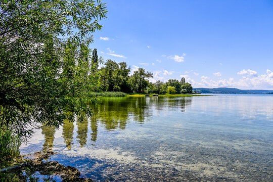 Reichenau, Insel Reichenau, Bodensee, Seeufer, Schilf, Wasserv&ouml;gel, Naturschutz, Uferweg, Wanderweg, Sommer, Fr&uuml;hling, Genslehorn, Niederzell, Baden-W&uuml;rttemberg, Deutschland