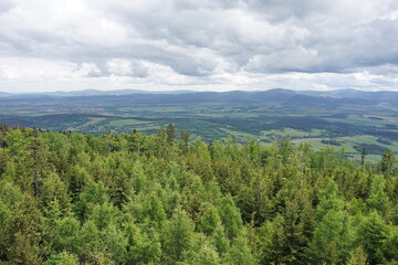 Fototapeta na wymiar Bystrzyckie Mountains, Poland