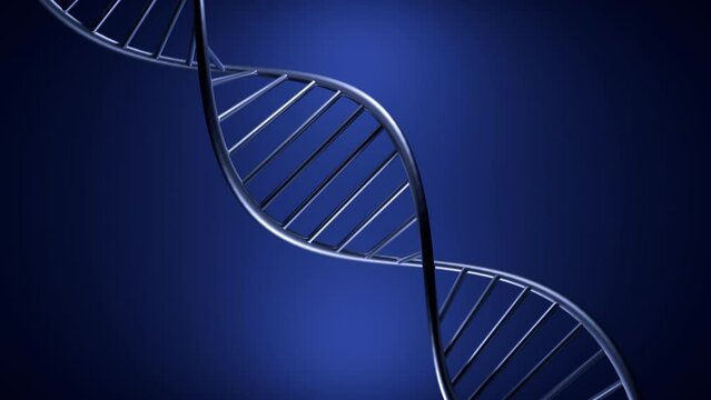 Twisting 3d spiral of dna. Design. Metallic structure of dna moves on isolated background. 3D animation of moving DNA. Biological or scientific animation