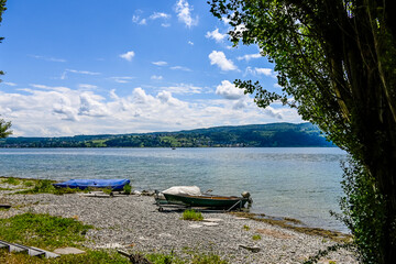 Reichenau, Insel Reichenau, Bodensee, Seeufer, Wasservögel, Naturschutz, Uferweg, Boote,...