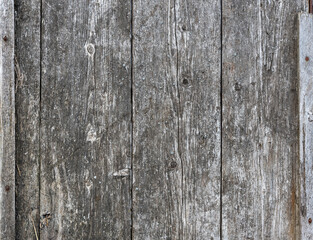 background of grey old boards