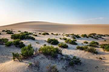Beautiful Desert landscape view in Dammam Saudi Arabia.