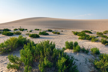 Beautiful Desert landscape view in Dammam Saudi Arabia.