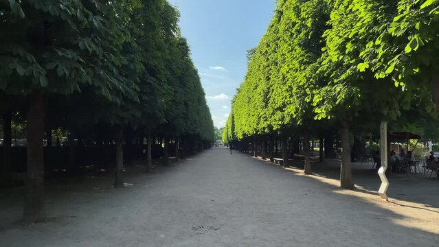 Man running in Tuilerie gardens in Paris
