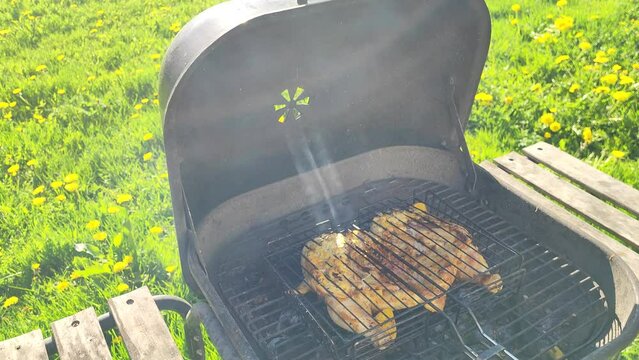 Cooking grilled chicken food outdoors. Barbecue on a picnic