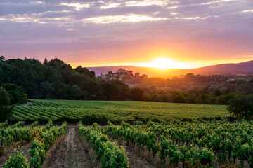 Vignoble en Provence en printemps, France; Luberon. Coucher de soleil. Village Ansouis en arrière plan. - 507688794