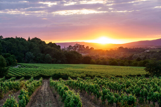 Vignoble en Provence en printemps, France; Luberon. Coucher de soleil. Village Ansouis en arrière plan.