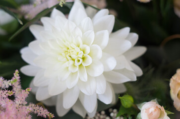 Perfect while flower petals