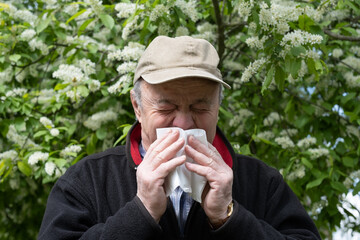 Senior man with allergy sneezing on flower powder during blossom - obrazy, fototapety, plakaty
