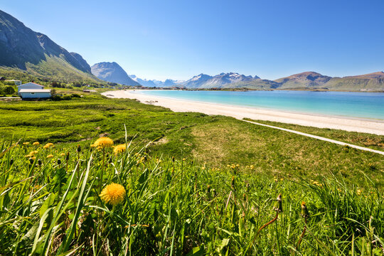 karibisch wei&szlig;er Strand Ramberg auf den Lofototen