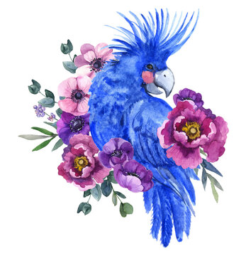 Watercolor parror australian. card background. drawn graphic botanic. tropics image floral decoration. botanical birds sketch indonesian cockatoo. parrot jungle animal tropical exotic.
