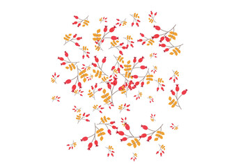 Red Foliage Background White Vector. Berries Autumn Frame. Pink Herb Agriculture. Nature Design. Leaf Object.