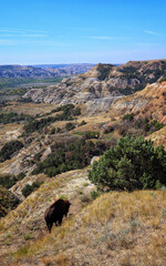 Theodore Roosevelt National Park