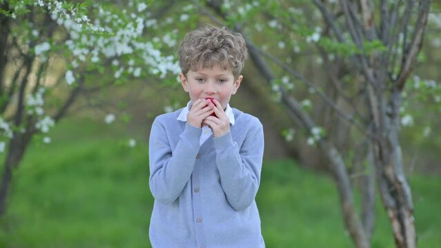 Cute funny child eats a ripe juicy apple on a green garden against the backdrop of flowering trees. Happy little boy eats apple outdoor. healthy diet.