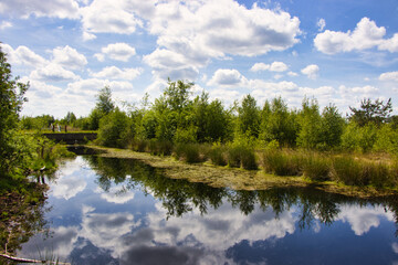 Impressionen Moor und Naturschutzgebiet Bargerveen Niederlande
Grenze Twist 