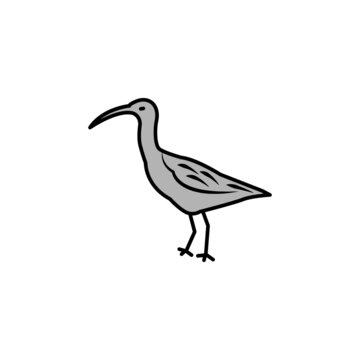 recommend clip art: curlew line icon. signs and symbols can be used for web, logo, mobile app, ui, ux