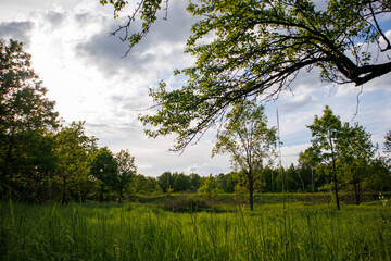 Polana nad rzeką Kamienna w Skarżysko-Kamienna © FotoPasja