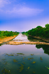landscape with reaver going threw forest and the reflection of trees on water.