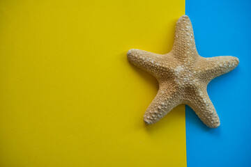 Summer inspired composition. Greeting card with copy space. Blue and yellow background decorated with starfish. Summer concept.