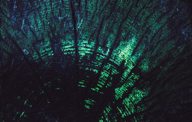 Wood texture. Texture for design and decoration. Natural wood background. Wooden fence. Surface with natural pattern. Space for floor. Abstract texture. Structure.