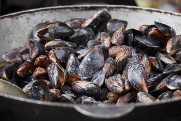 shellfish. Fresh mussels in a pan with parsley and lemon. Steamed mussels in white wine sauce