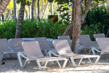 Several rows of free deck chairs waiting for tourists.A fragment of a beach in a hotel on the Caribbean coast.There are sun loungers on the sandy beach of the hotel.Nice weather on the beach in summer