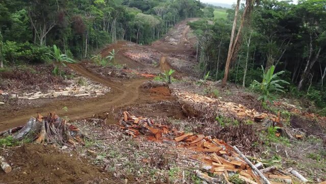 ilheus, bahia, brazil - may 23, 2022: deforestation area in the Atlantic Forest region for the construction of a highway in the city of Ilheus, in the south of Bahia.
