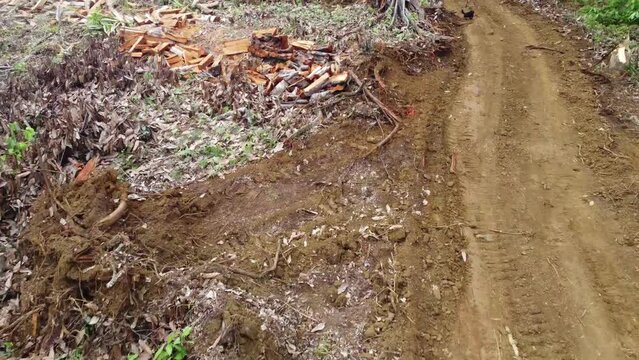 ilheus, bahia, brazil - may 23, 2022: deforestation area in the Atlantic Forest region for the construction of a highway in the city of Ilheus, in the south of Bahia.
