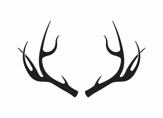 Deer antlers vector. Silhouette of the horns of a wild elk, roe deer on a white background.