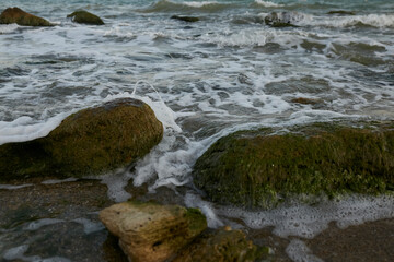 Sea. The water's edge on the sea. Small waves on the sea. 